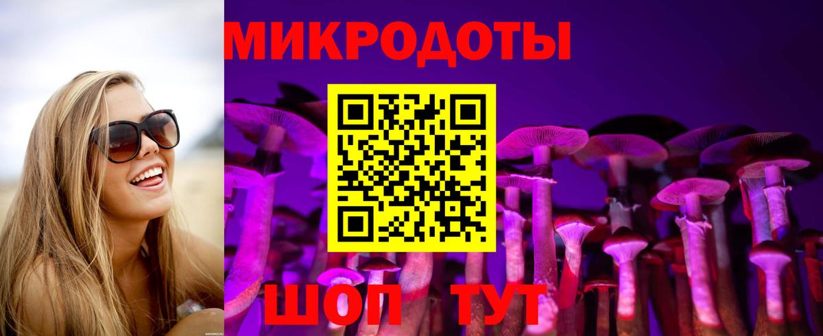 Псилоцибиновые грибы мицелий Альметьевск